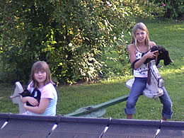 Spielen mit den Katzen auf dem Spielplatz