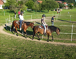 Reitmöglichkeit im Bayerischen Wald