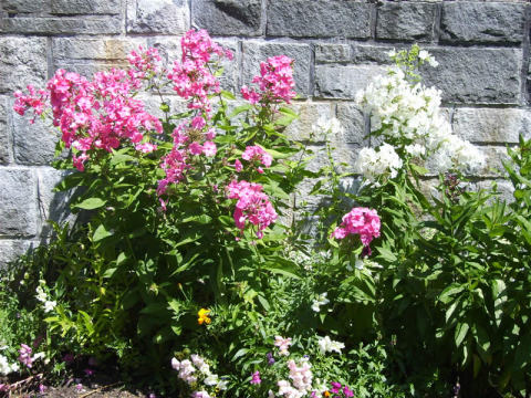 Garten Schmöllerhof