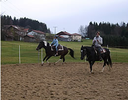 Reiten auf unserem Reitplatz im Bayerischen Wald
