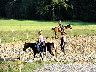 Reitmöglichkeit auf dem Ferienhof Schmöller